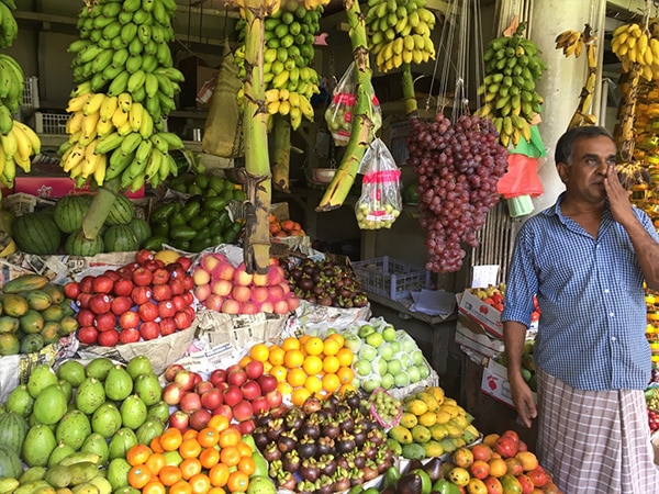 bananes rouges