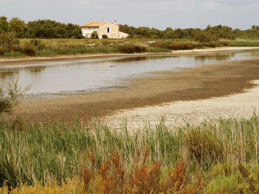 Maison pierre en camargue