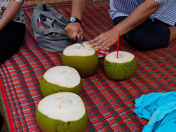 Noix de coco et paille