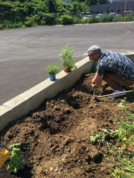 Potager chez Autour du Riz