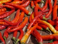 Piments rouges