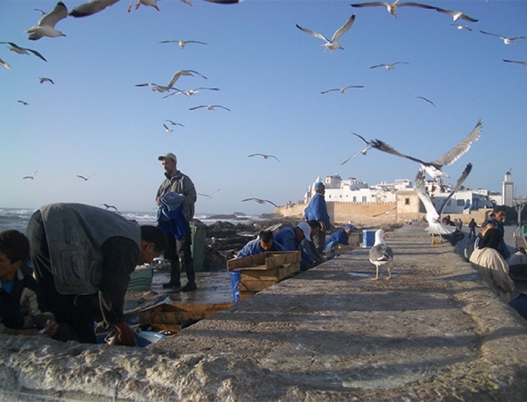 Riz-du-monde-essaouira.jpg