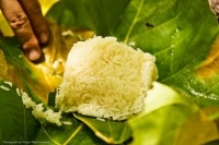 Sticky Rice ou Riz collant