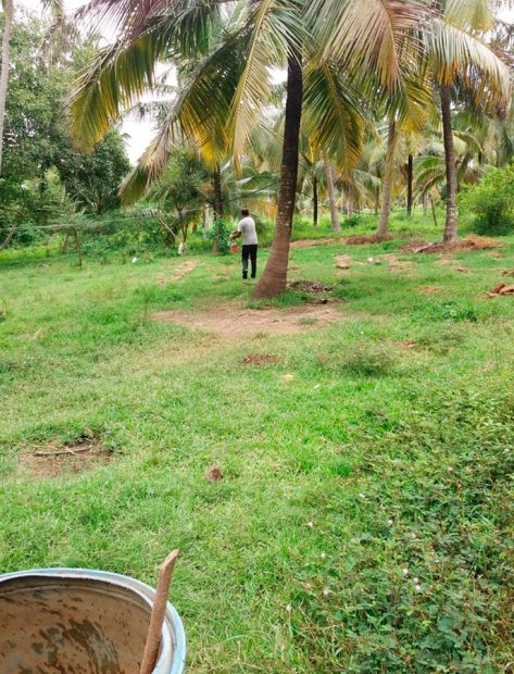 Coco sri lanka