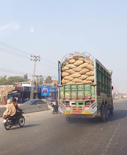 Transport du riz Basmati bio