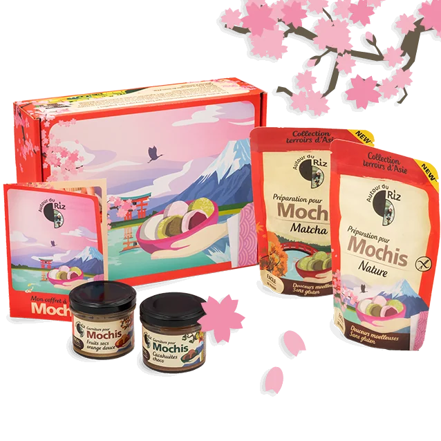 Mon coffret à mochis - kit pour faire des mochis maison